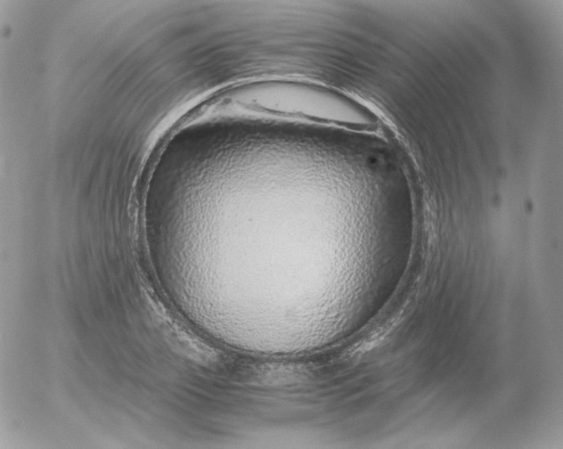 X0000052600933200507221630