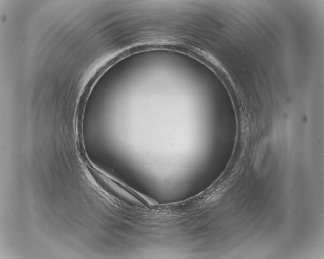 X0000052600935200507221630