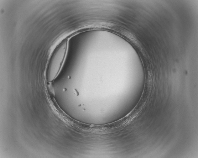 X0000052600936200507221630