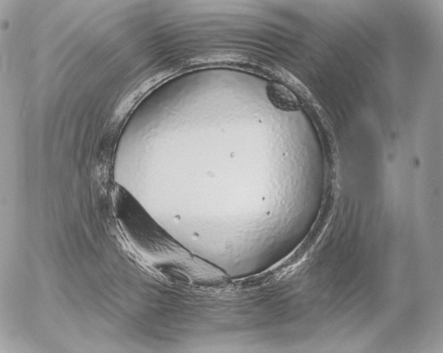 X0000052600937200507221630