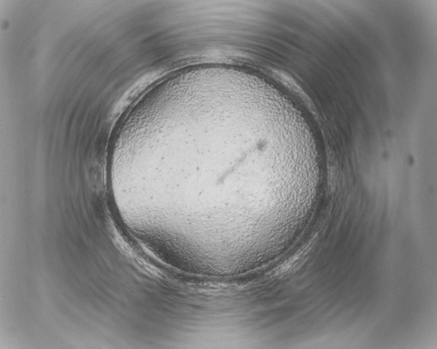 X0000052600938200507221630