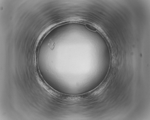 X0000052600939200507221630