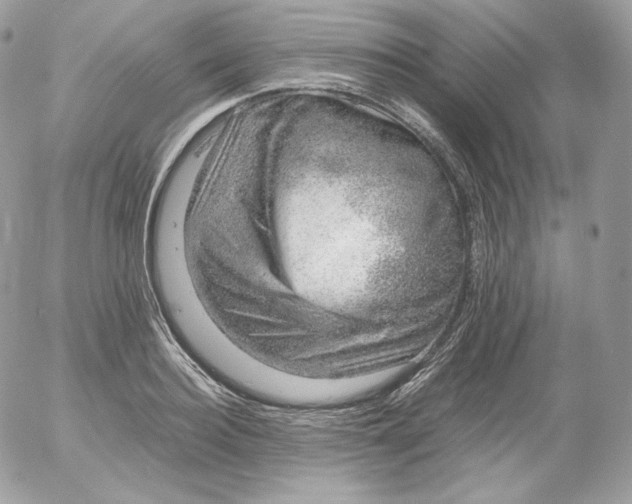 X0000052600940200507221630