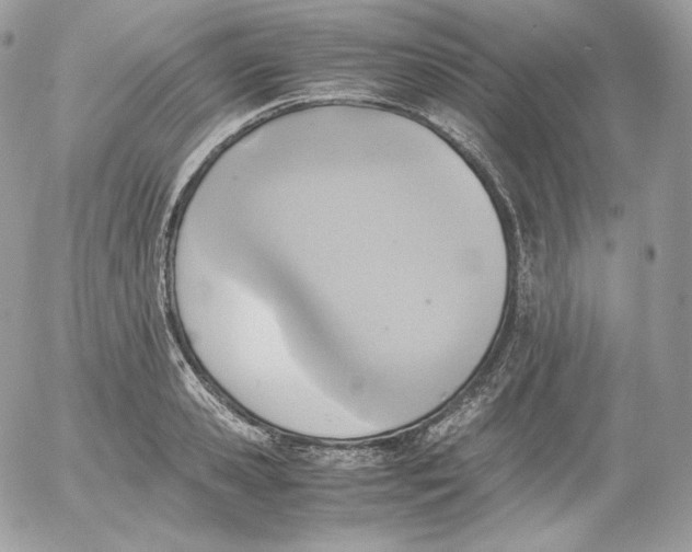 X0000052600941200507221630