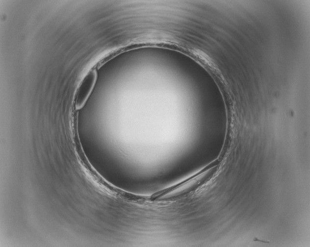 X0000052600942200507221630