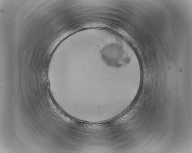 X0000052600945200507221630