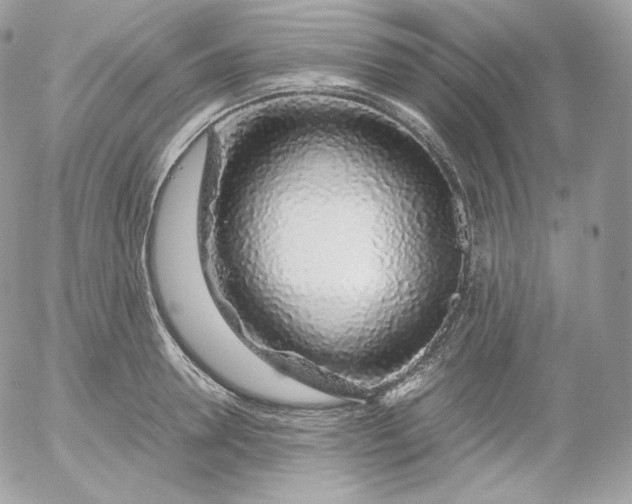 X0000052600946200507221630