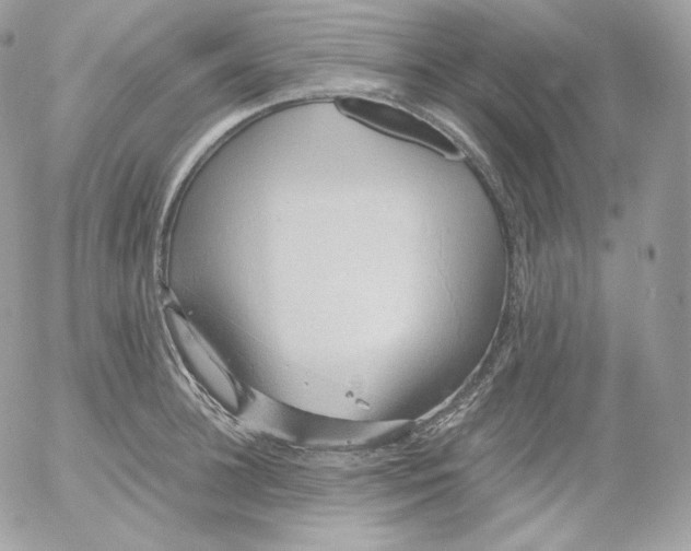 X0000052600948200507221630