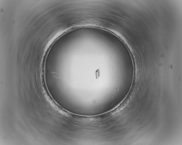 X0000052600949200507221630