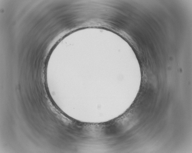 X0000052600950200507221630