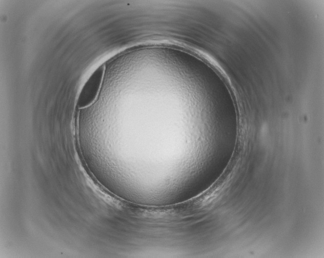 X0000052600951200507221630