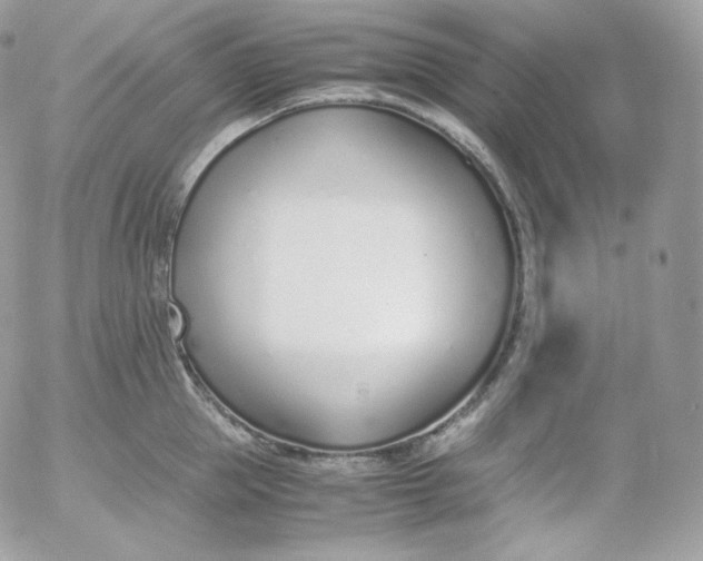 X0000052600953200507221630