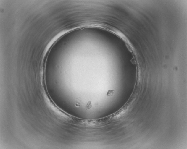 X0000052600955200507221630