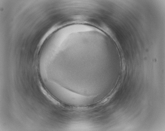 X0000052600958200507221630