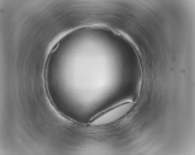 X0000052600959200507221630