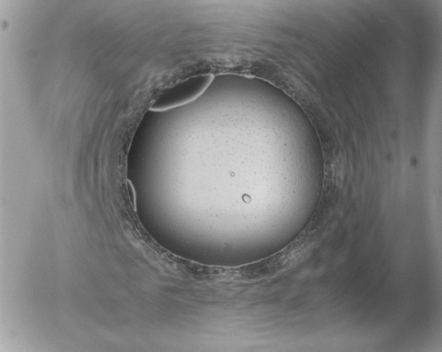 X0000052600961200507221630