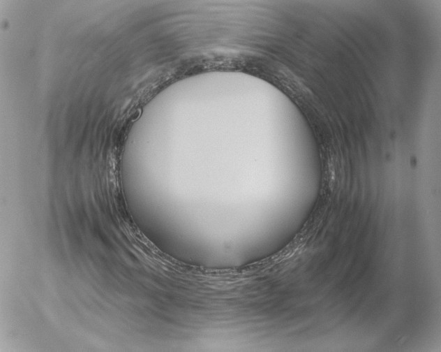 X0000052600964200507221630