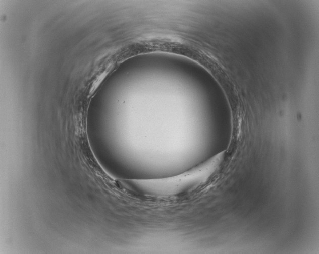 X0000052600965200507221630