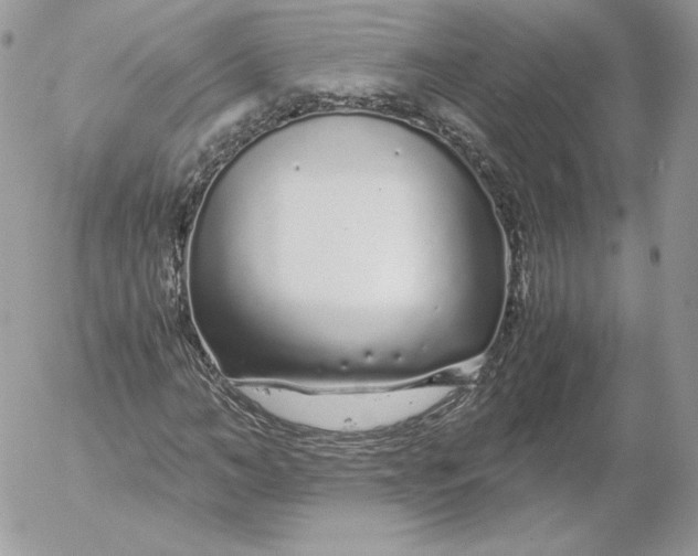 X0000052600966200507221630