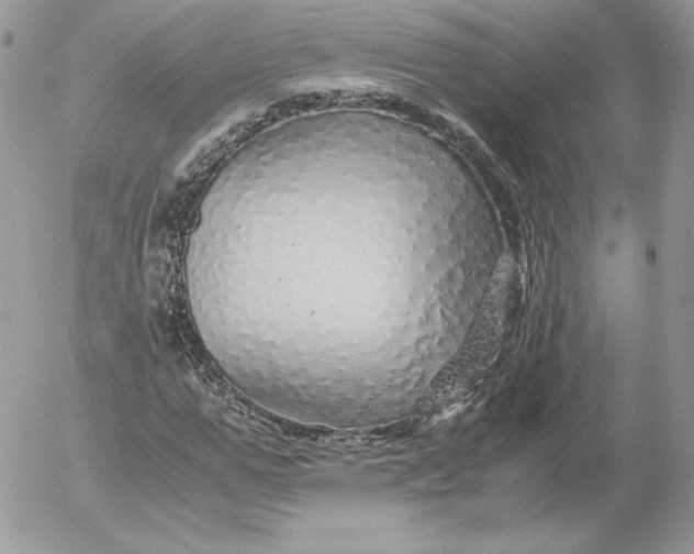 X0000052600967200507221630