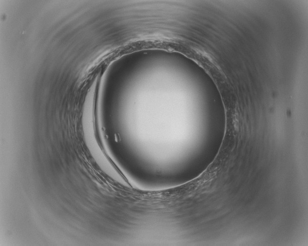 X0000052600968200507221630