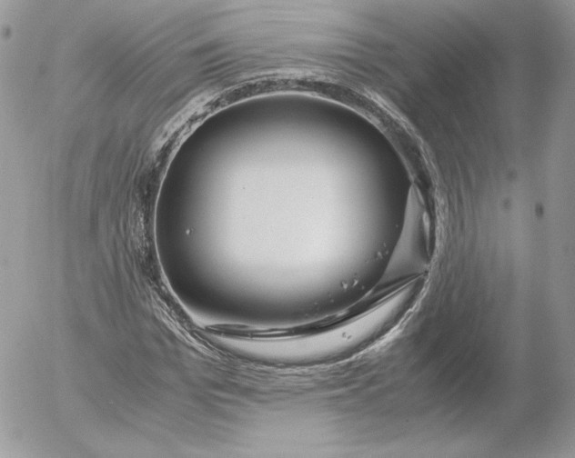 X0000052600969200507221630