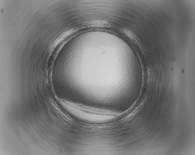 X0000052600970200507221630