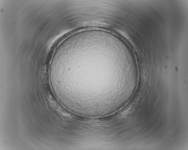 X0000052600971200507221630