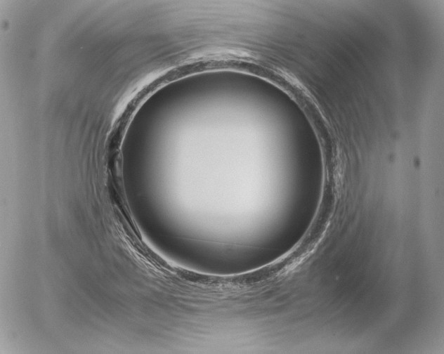 X0000052600973200507221630