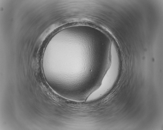 X0000052600975200507221629