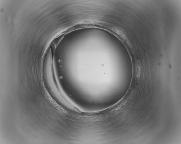 X0000052600976200507221629