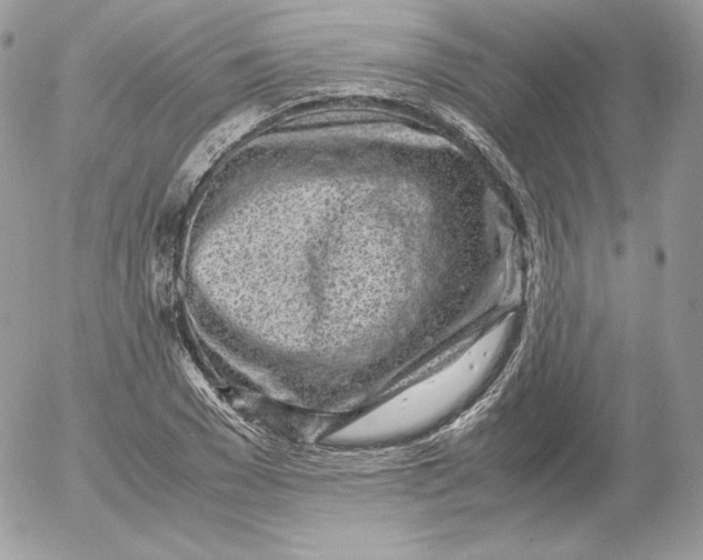 X0000052600977200507221629