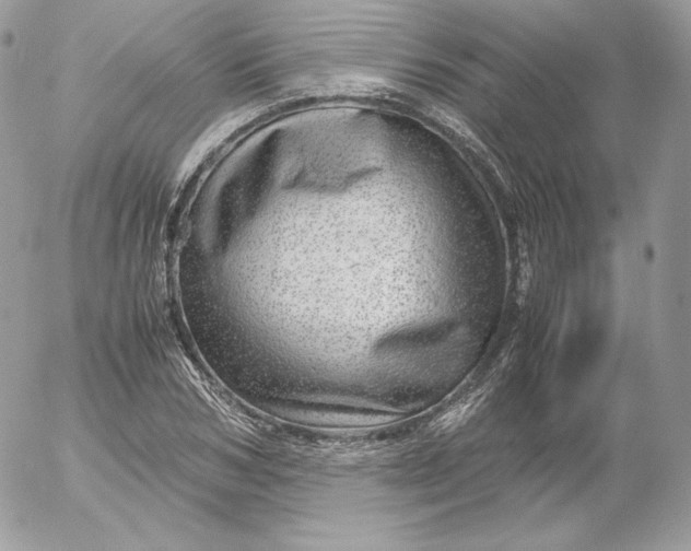 X0000052600978200507221629