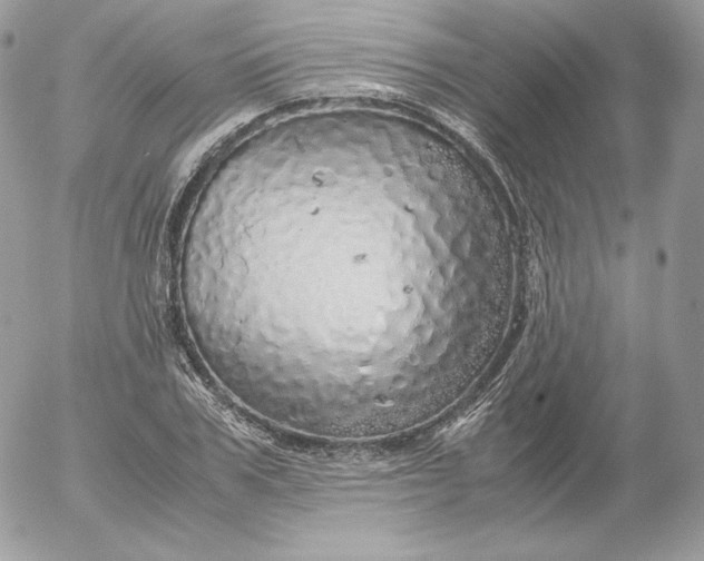 X0000052600979200507221629