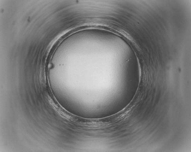 X0000052600980200507221629