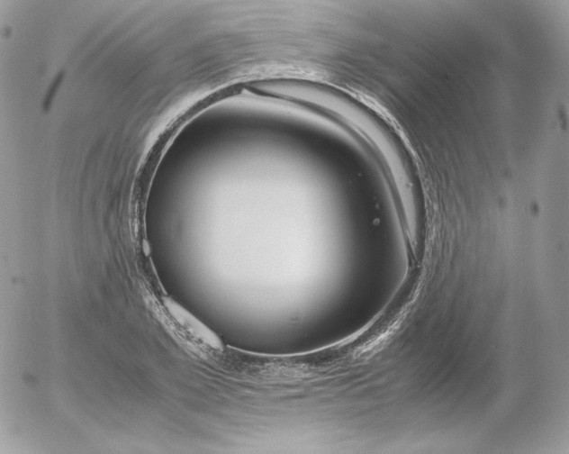 X0000052600981200507221629