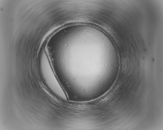 X0000052600982200507221629