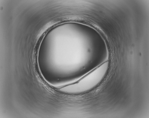 X0000052600983200507221629