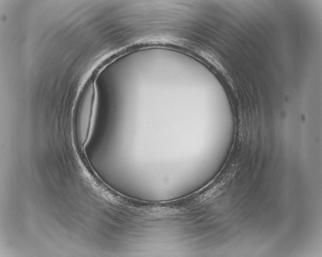 X0000052600984200507221629