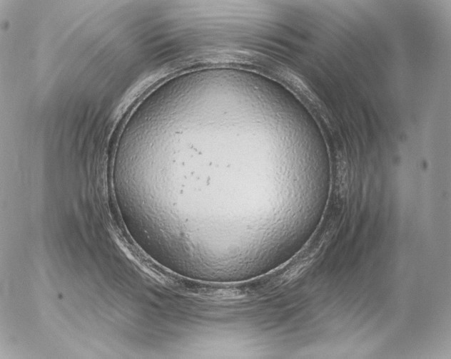 X0000052600986200507221629