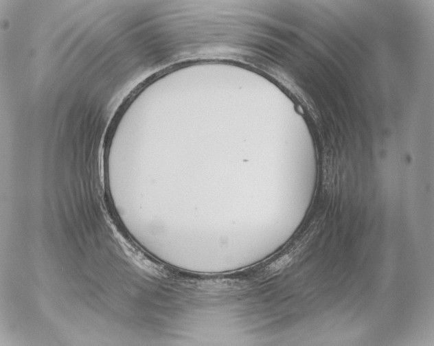 X0000052600988200507221629