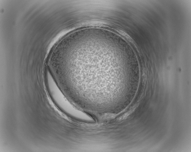 X0000052600989200507221629