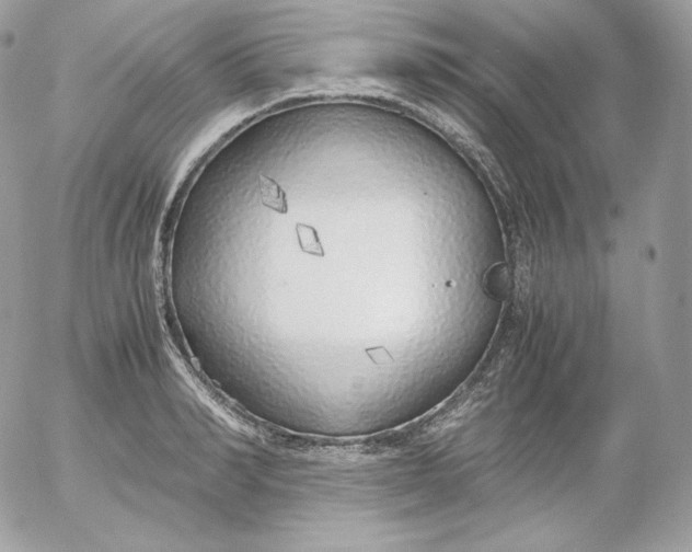 X0000052600990200507221629