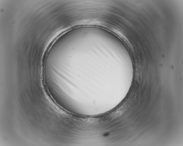 X0000052600992200507221629