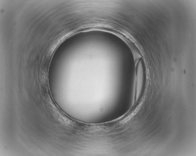 X0000052600993200507221629