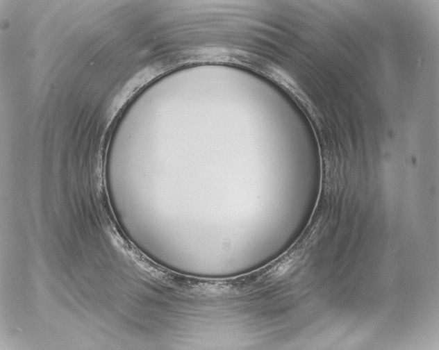 X0000052600994200507221629