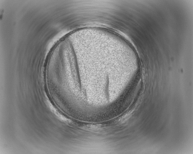 X0000052600995200507221629