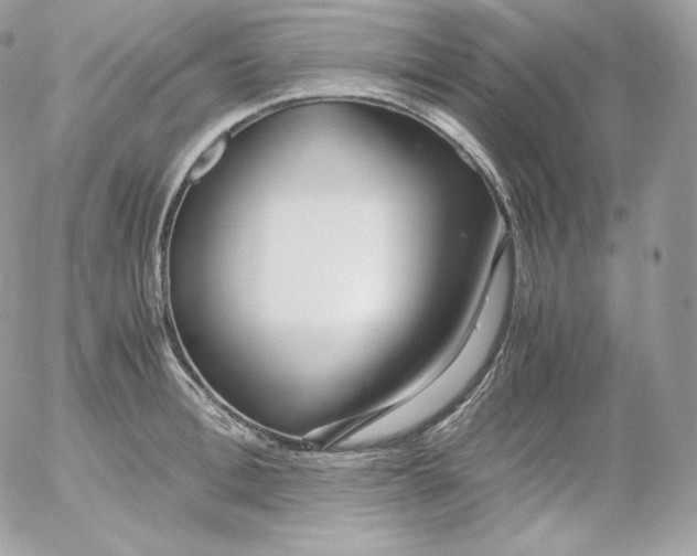 X0000052600996200507221629