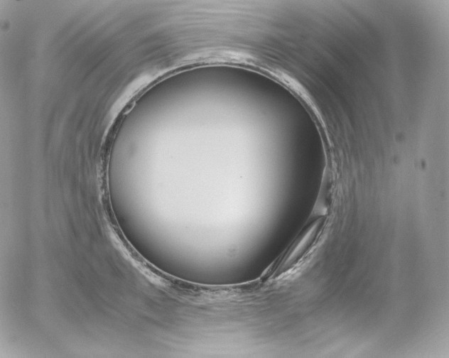 X0000052600997200507221629