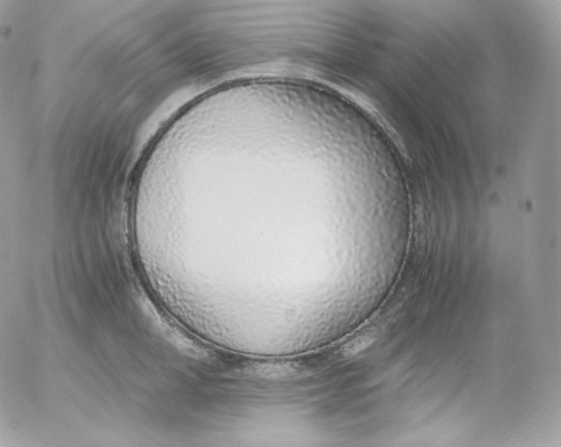 X0000052600998200507221629